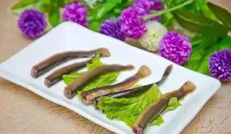 章鱼泥鳅衣服猜明星,揭秘明星时尚跨界之谜