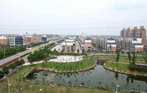 津南区秦庄镇新闻头条,聚焦乡村振兴，共绘美好家园新画卷