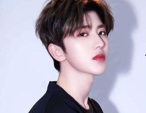 中国明星与韩国明星对比,风采各异，魅力交织