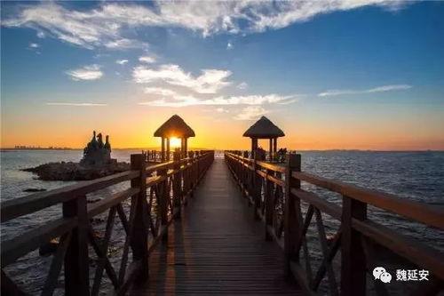 牟平养马岛今天新闻头条,揭秘养马岛生态旅游新亮点