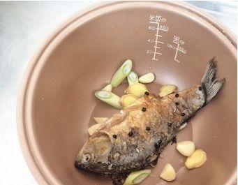 草鱼会吃瓜叶吗,探究水生动物的特殊饮食习惯