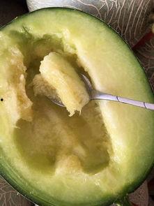 小胖在哪里吃瓜,探寻美食与欢乐的交汇之地