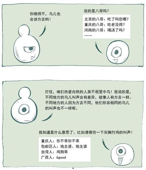 开心吃瓜笔记图片,揭秘娱乐圈幕后故事