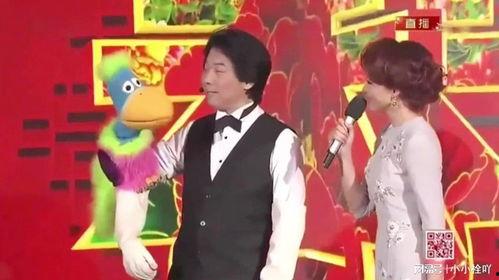 梦到小品明星,梦中小品明星的奇幻邂逅