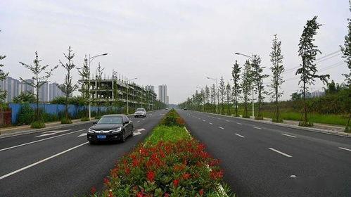 崇州网红打卡地区有哪些,探寻这座城市的魅力角落