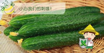 吃瓜有点六,揭秘娱乐圈那些不为人知的秘密