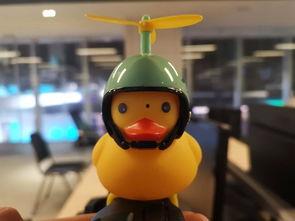 快手网红舞蹈小黄鸭,萌动全网，舞动青春