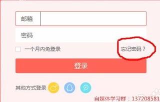 头条账号忘了怎么操作,轻松找回并管理你的副标题
