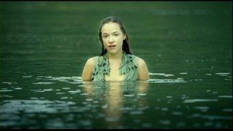 水中仙在线观看,探寻神秘仙踪，在线揭秘奇幻世界