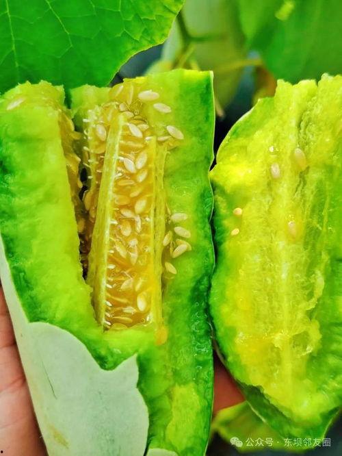 吃瓜哥11月16的瓜,娱乐圈惊天大瓜揭秘