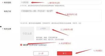 个人头条号如何开通直播