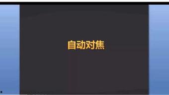 个人拍照发头条,记录生活点滴——我的头条摄影日记”
