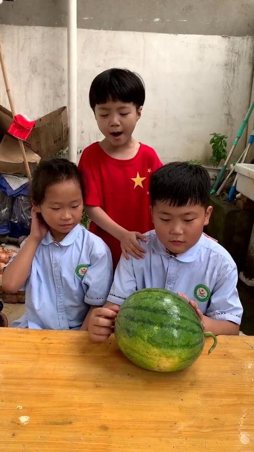 jiejie吃瓜,网络热词背后的故事与影响